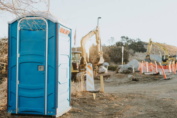 Best Sanitation services for porta potties  in Denison, IA